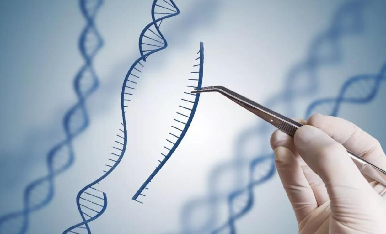 人类返老还童的条件,人类返老还童重大突破