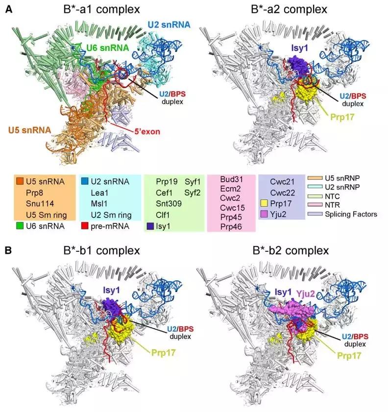 施一公院士生命科学演讲,施一公与教授的视频