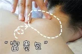 身体各部位的寿命对照表,身体各部位寿命对照表