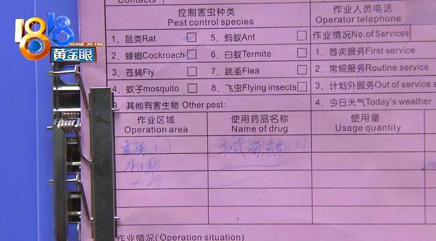 半夜床上发现一只蟑螂,半夜房间发现一个很大的蟑螂