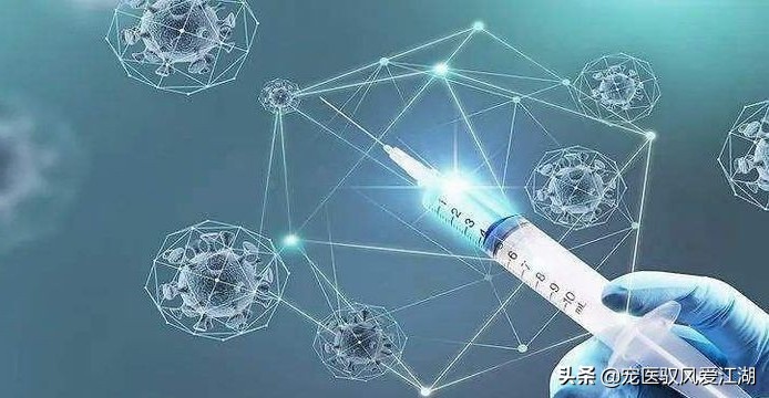 犬猫弓形虫抗体定量检测卡,猫抗体检测怎样算合格