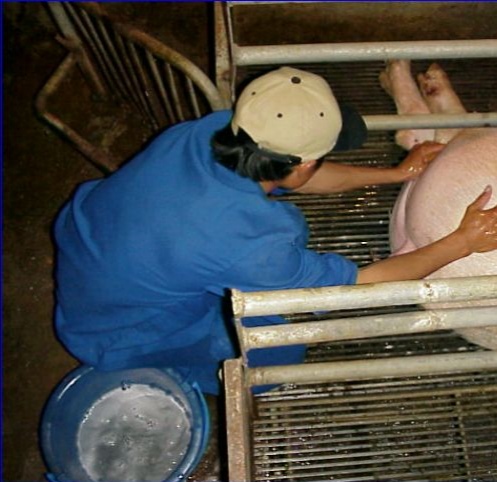 母以子贵怎么回事,母以子贵的后果