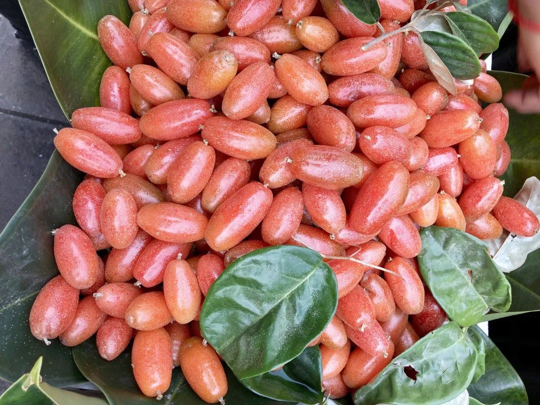 云南人最认同的本地食材,外省人来云南没有见过的菜