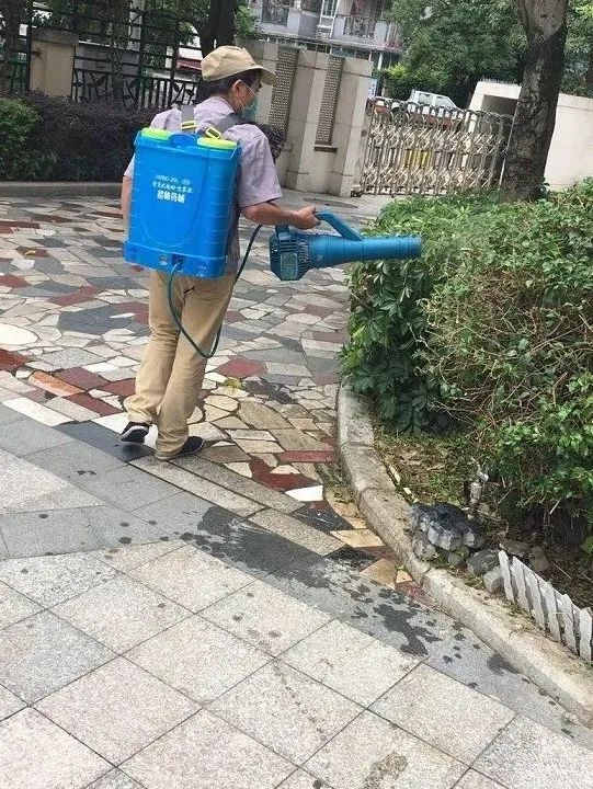 疫散花开喜迎新春,疫散花开准备复工