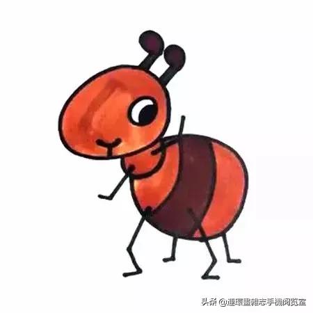 可爱的小昆虫简笔画,我认识的昆虫简笔画