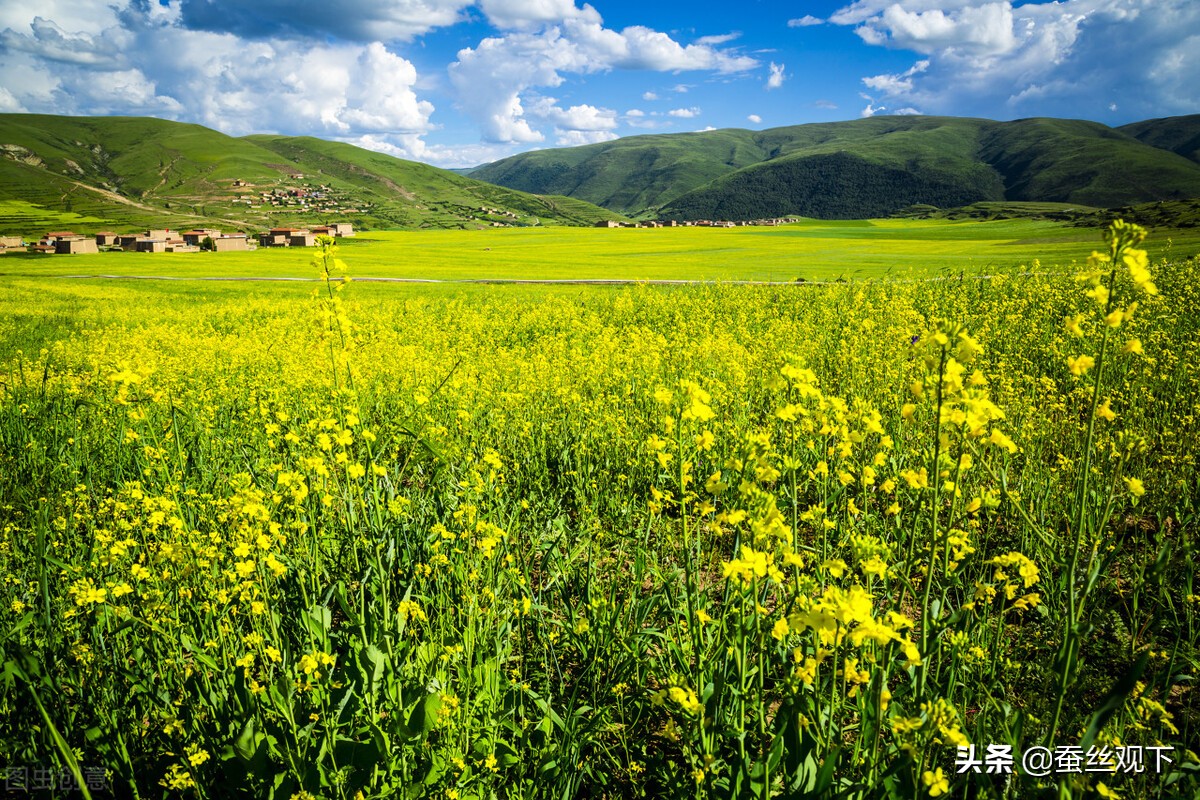 四川内江和遂宁市哪个好一点,四川南充对比自贡城市