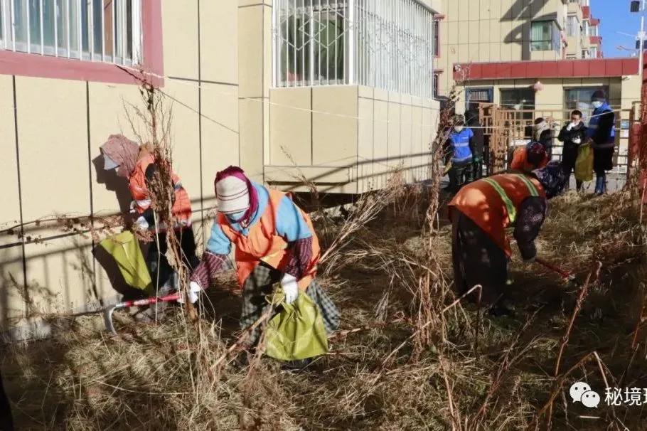新闻晚高峰视频直播,新闻晚高峰播放时间