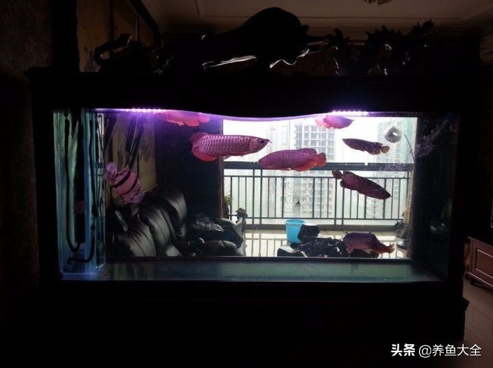 我要离婚老婆不同意,我要离婚老婆也要离婚