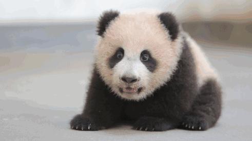 黑眼圈真正有用的眼霜,对付黑眼圈最好用的眼霜