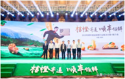 顺丰赣南脐橙物流发布会,江西赣橙顺丰快递