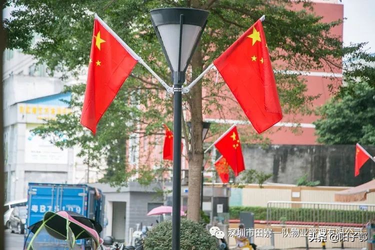 锦田湾我是护旗手,我是护旗手主题活动