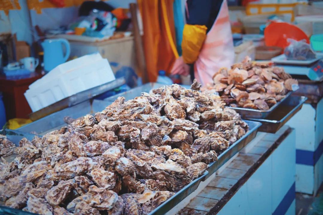 旅行清单青岛,青岛旅游攻略结束语