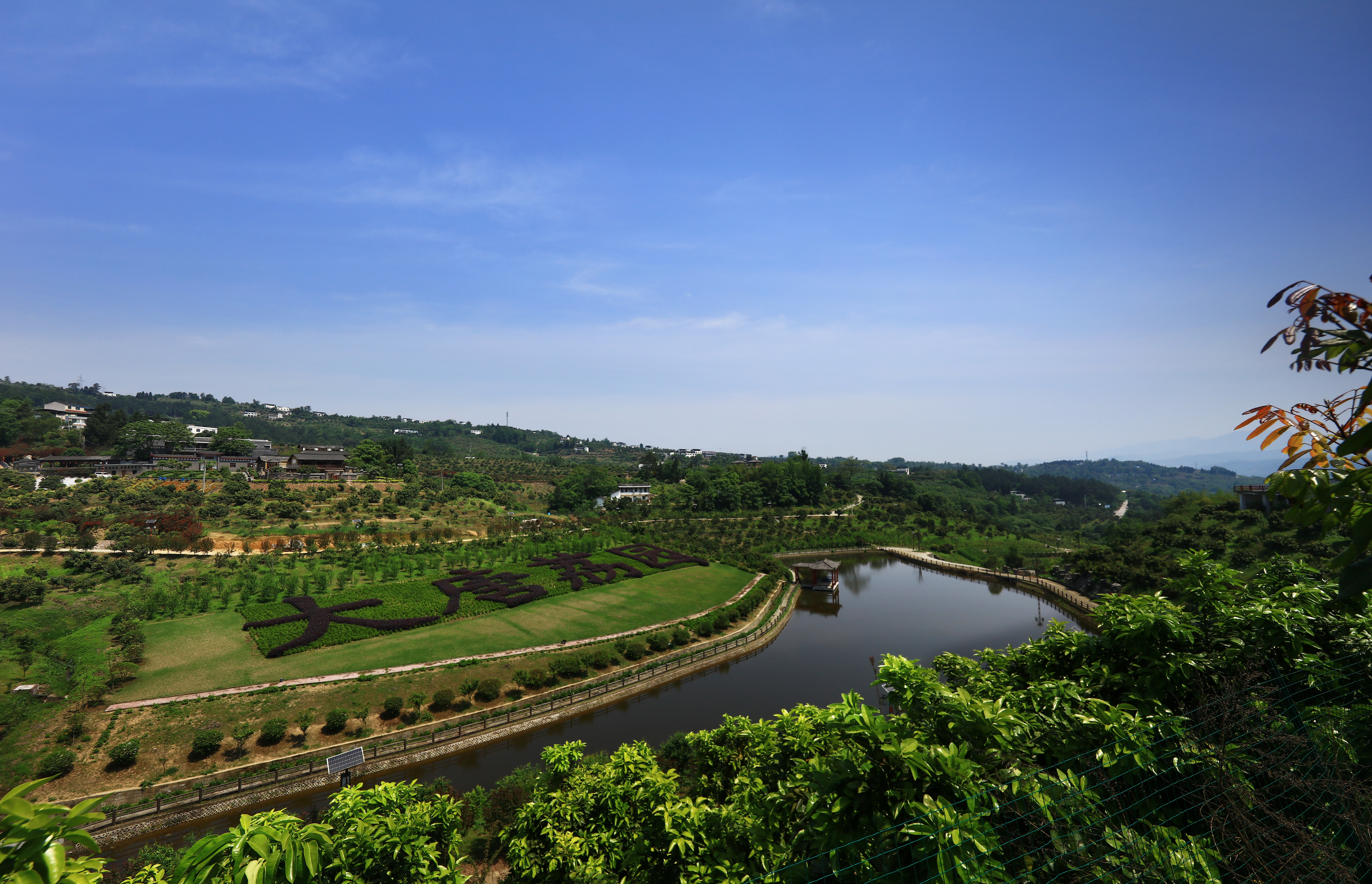 重庆理工大学助力,重庆市大学乡村振兴