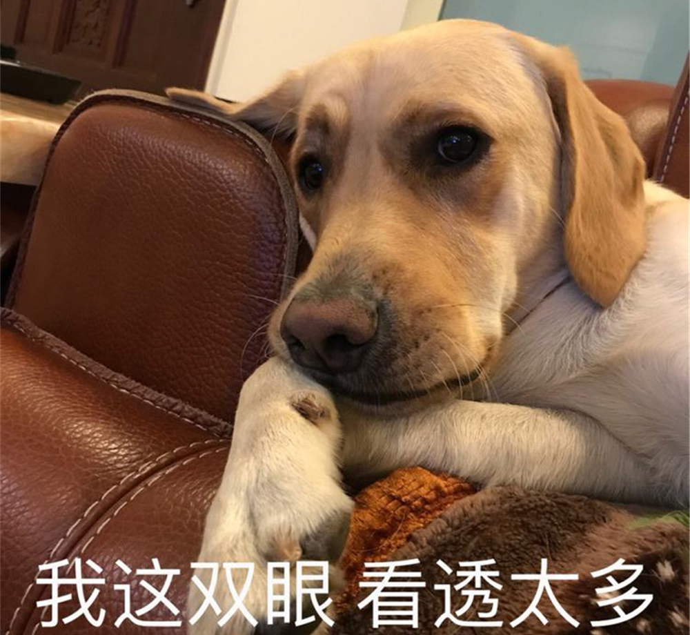 狗脂肪瘤会长大吗,肝上有个脂肪瘤与脂肪肝有关联吗