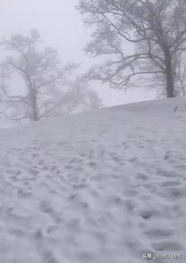 一位旅日游客，4天时间，万字长文，记录思考日本社会的崛起背后