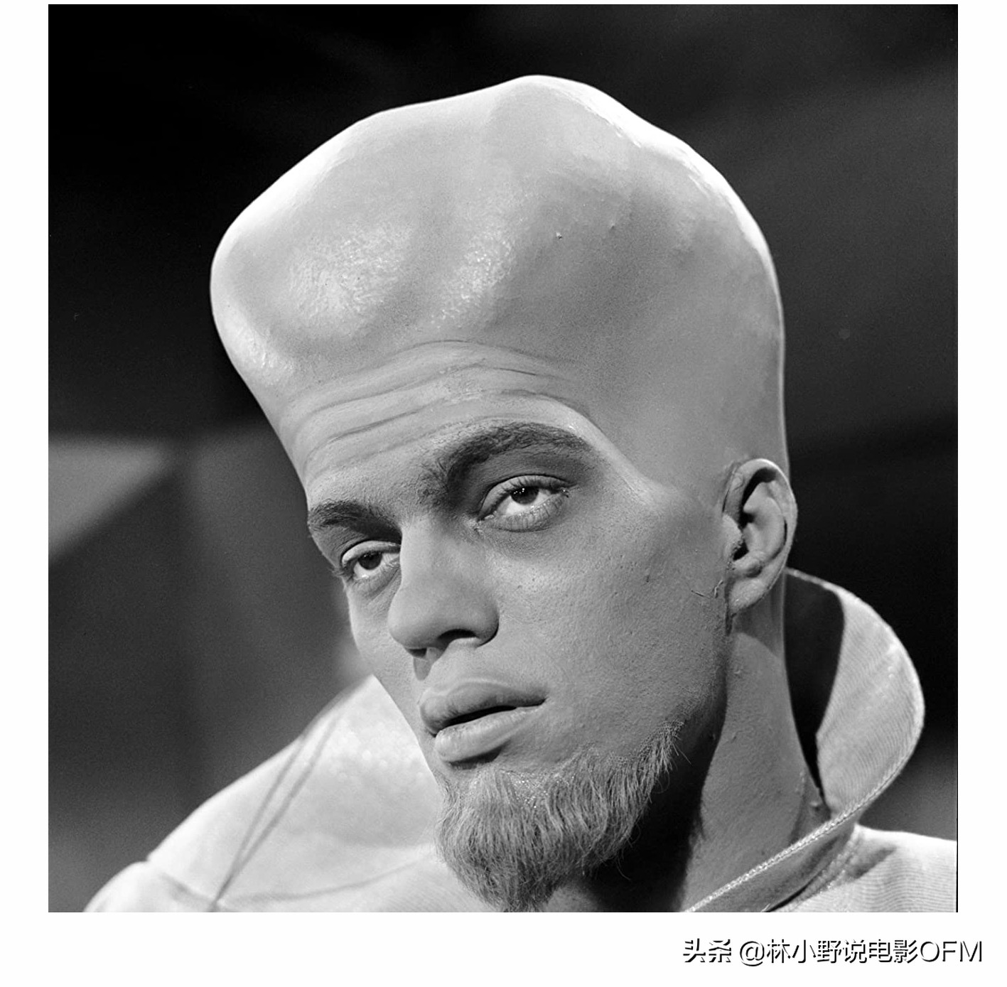 007大钢牙视频,007大钢牙咬死鲨鱼