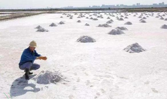 21年运城景区游客量收入排行榜,运城旅游统计