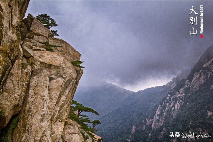 不输黄山迎客松的迎客松,不输黄山的景点