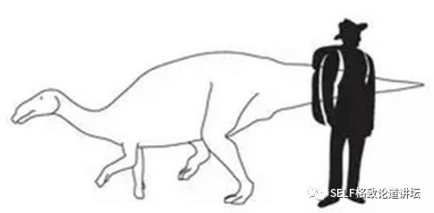 关于恐龙的研究详细,恐龙食谱大全及做法