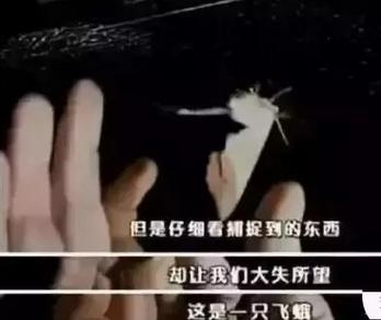 走近科学为什么停播了,走近科学为啥停播了