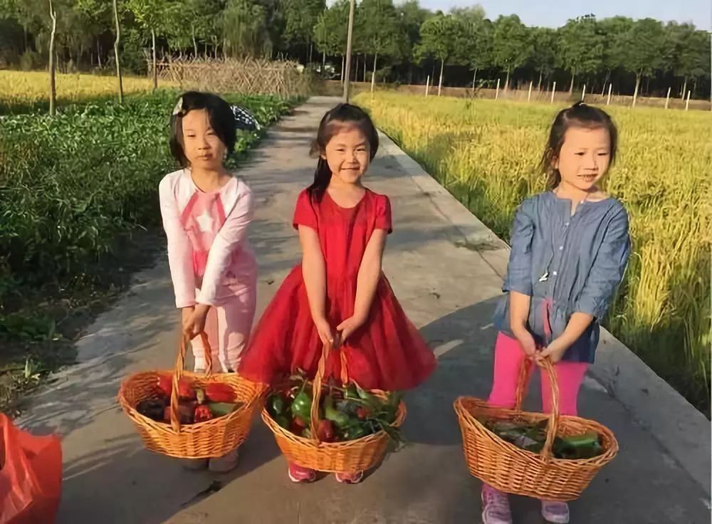 上海人游广州,上海人游浙江