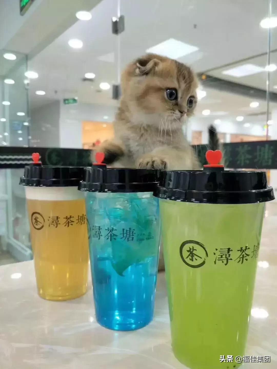 大连新年福利,大连福利新天地