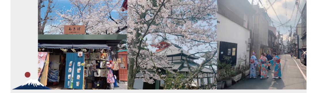 赶紧扔掉这三样以后会越来越好,赶紧扔掉四种有毒的文具