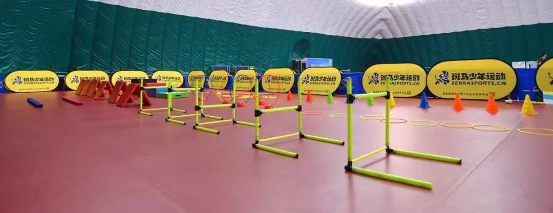 斑马少儿全方位能力成长平台,斑马少儿体能训练