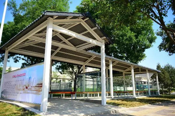 志愿填报英语专业,西安外国语大学征集志愿2023