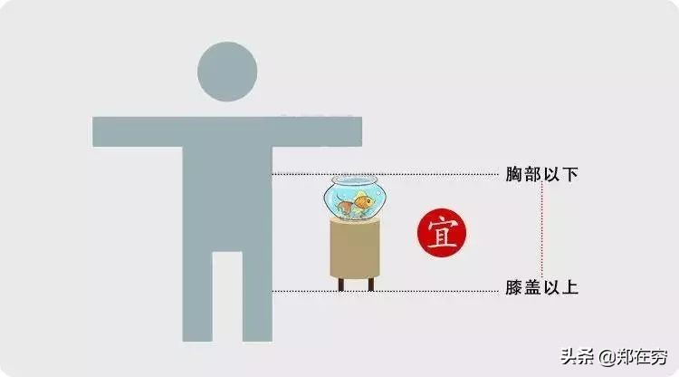 鱼缸摆放位置风水吉位图片,鱼缸怎么摆放布局风水好