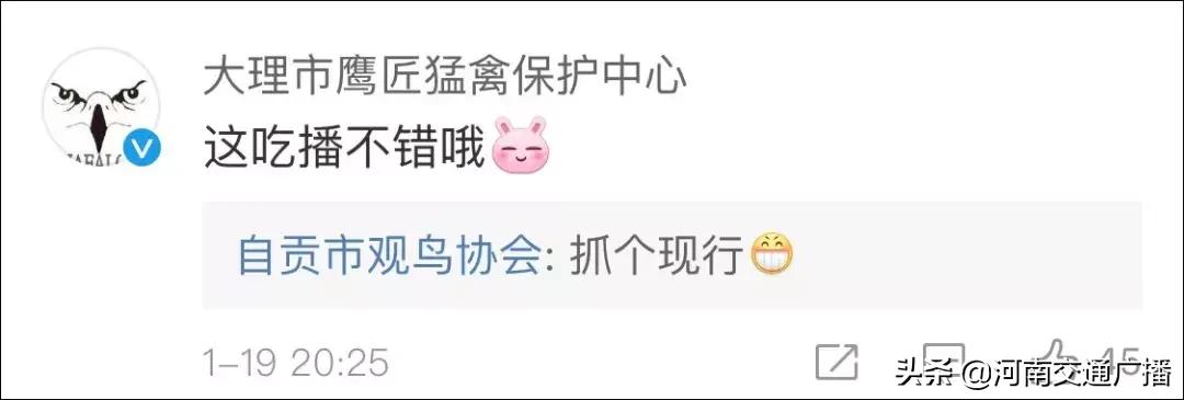 鸟儿偷吃香肠腊肉,香肠腊肉挂外面被鸟吃