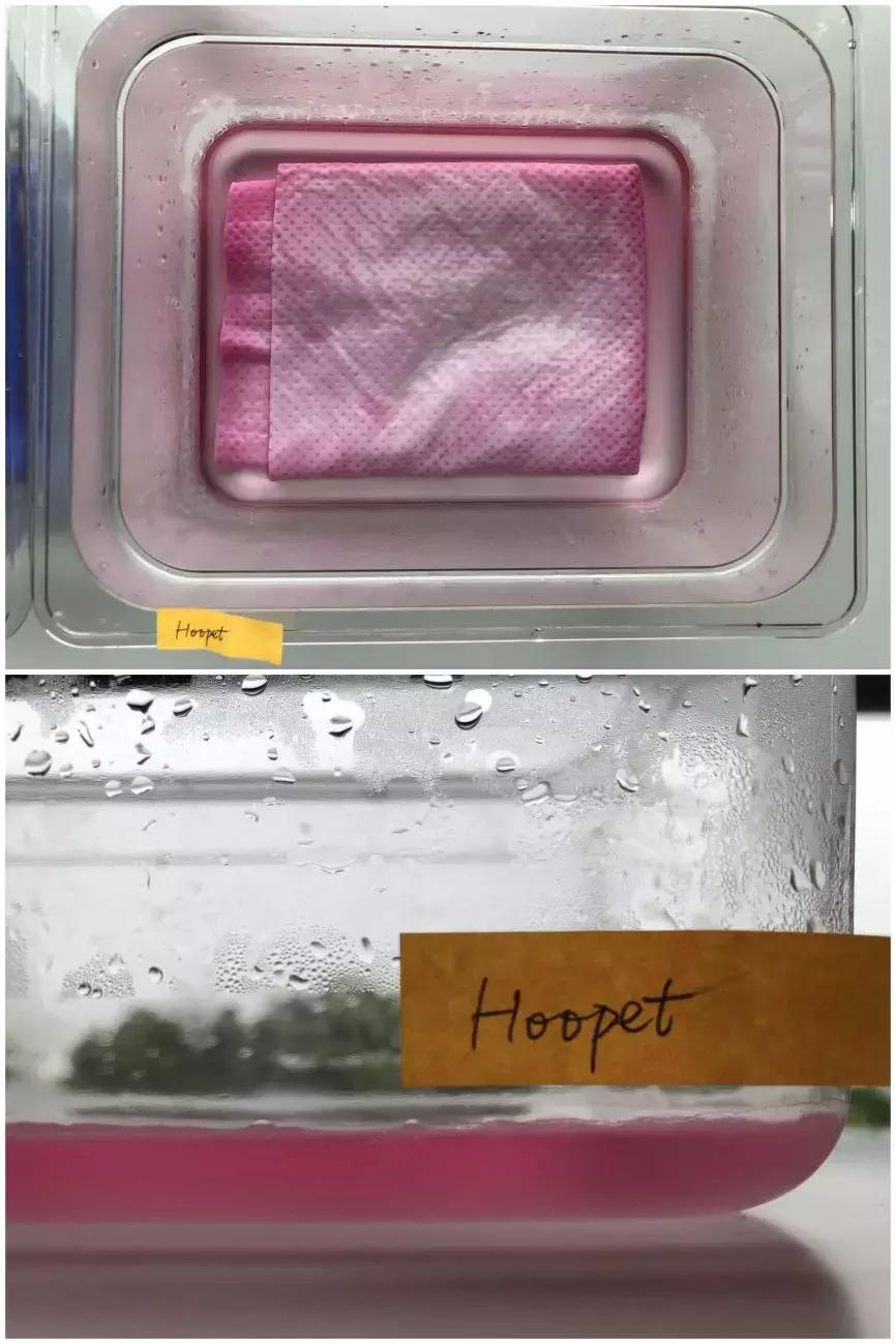 如此残暴的测评路子,这3款某宝销量火爆的宠物浴巾能否hold住?