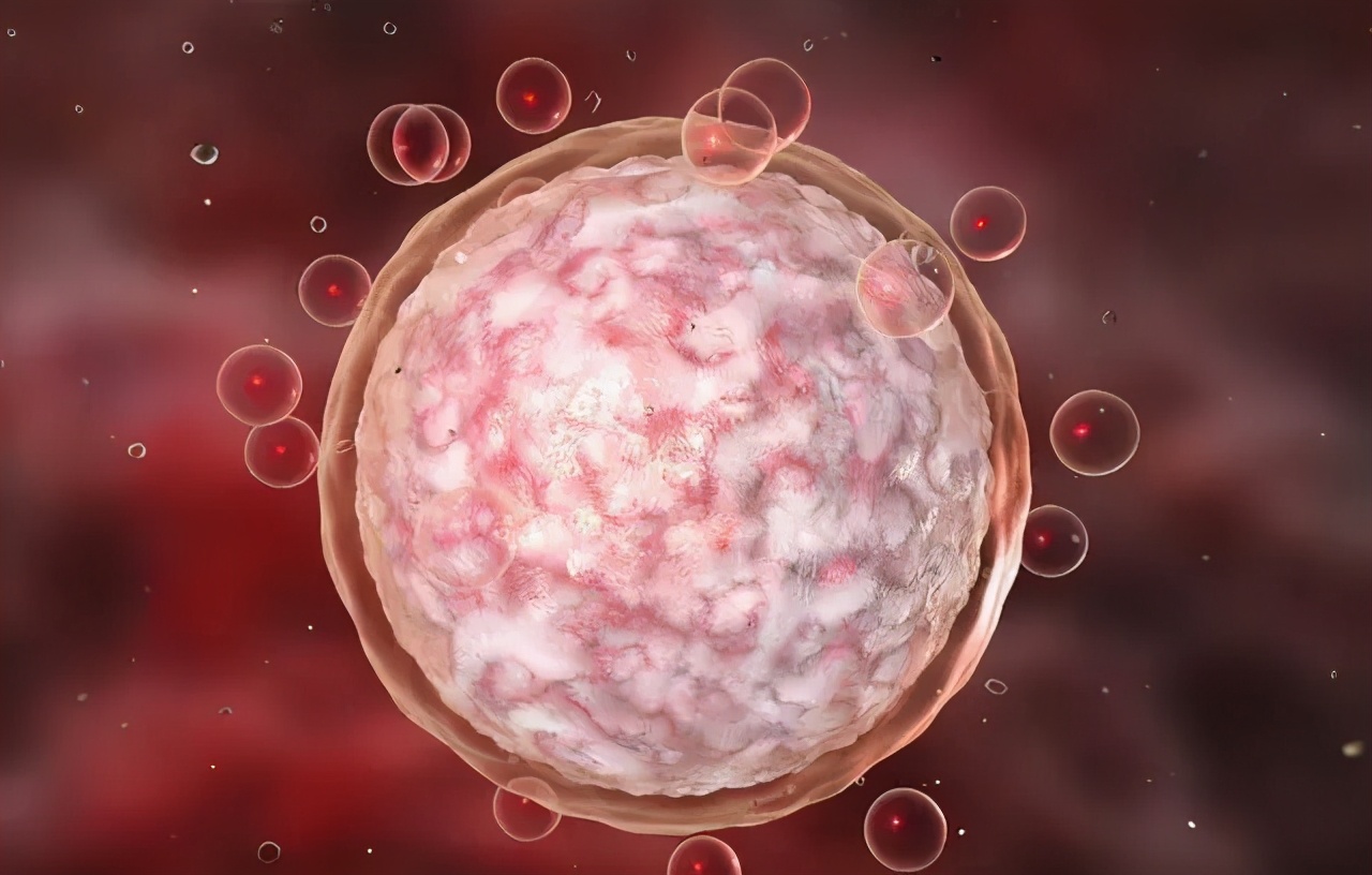 我的卵子是怎么排出来的,我的卵子没精子怎么办