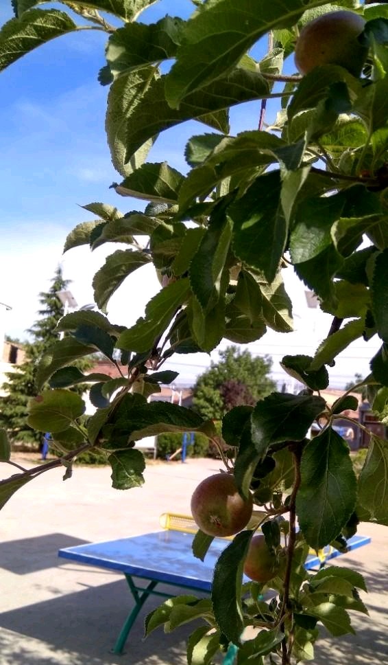 陕西十大避暑的地方,咸阳避暑旅游攻略