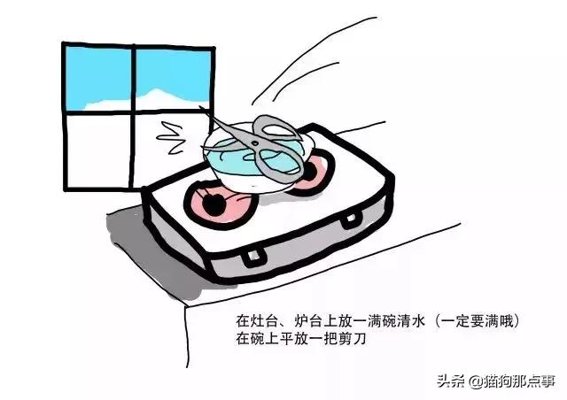 寻猫大法剪刀大法,寻猫剪刀大法怎么使用