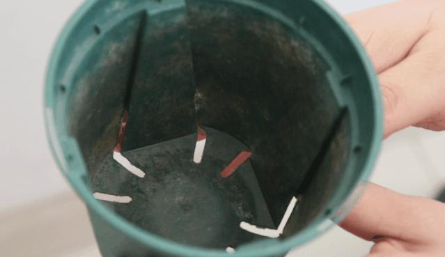 四季开花的月季又香又好养有几种,最漂亮10种盆栽月季