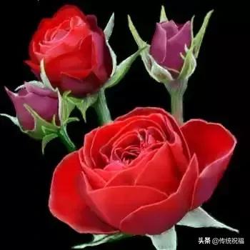 520祝福语表达爱意句句温馨美好,520祝福语送给最在乎的人