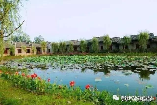 城市推介官推介家乡,武汉城市推介会