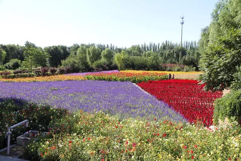 包头市新花海景点,包头最美的地方