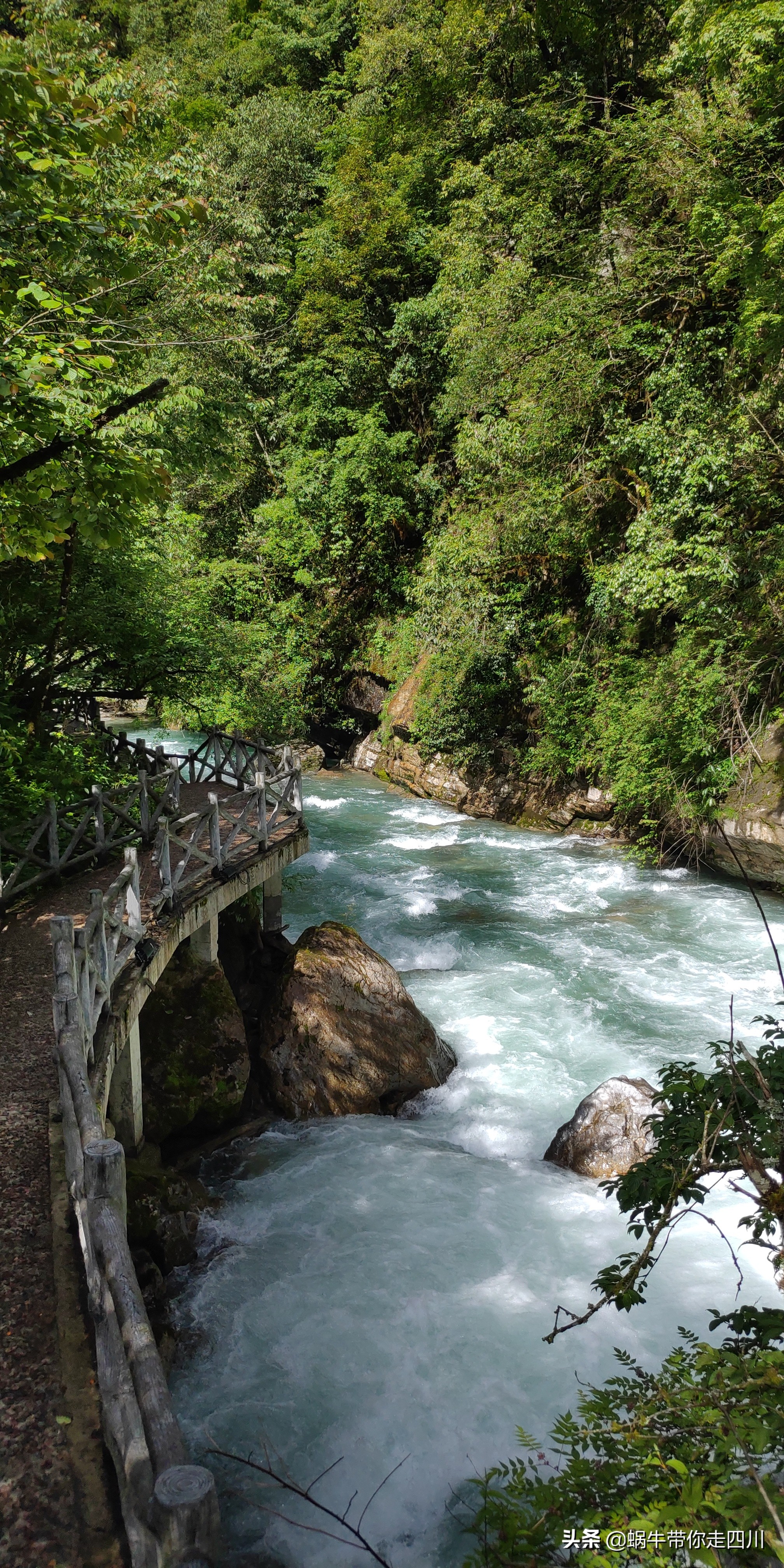 一家三口重庆到拉萨旅游攻略预算,一家三口成都去拉萨大概要多少钱