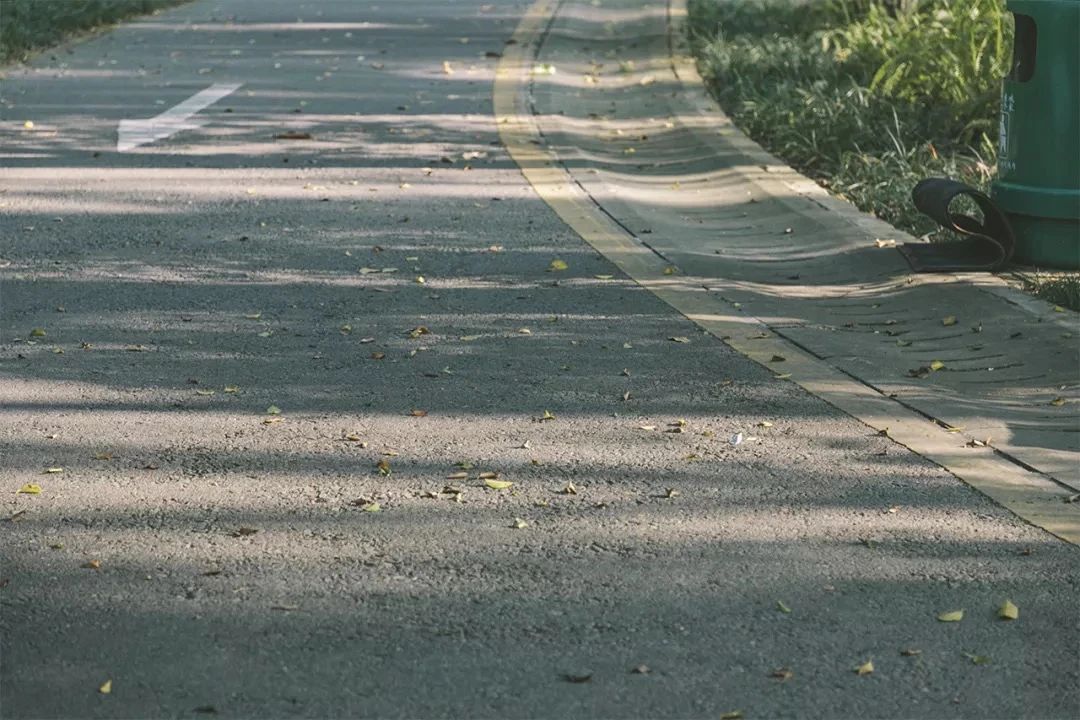 深圳龙华适合小孩子玩的免费景点,深圳适合一日游好玩的地方推荐