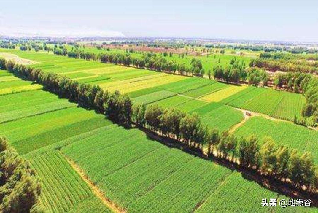 明朝为什么没收复陕西,明朝为什么把辽东划给山东