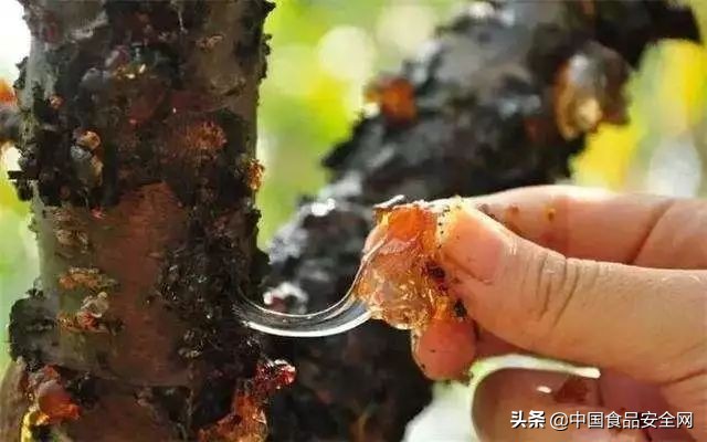 这种分泌物竟然还可以美容养颜？实则隐含“农残”超标隐患