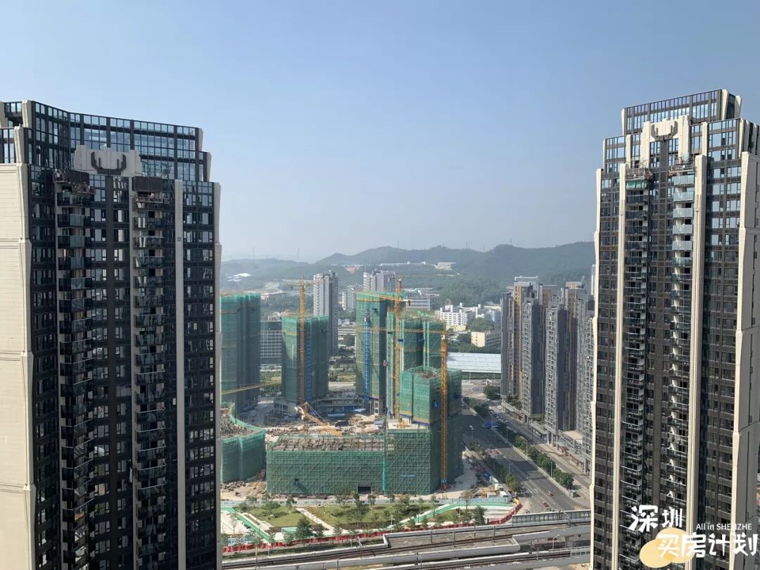 龙华金茂府185平米精装样板间,龙华区金茂府户型图