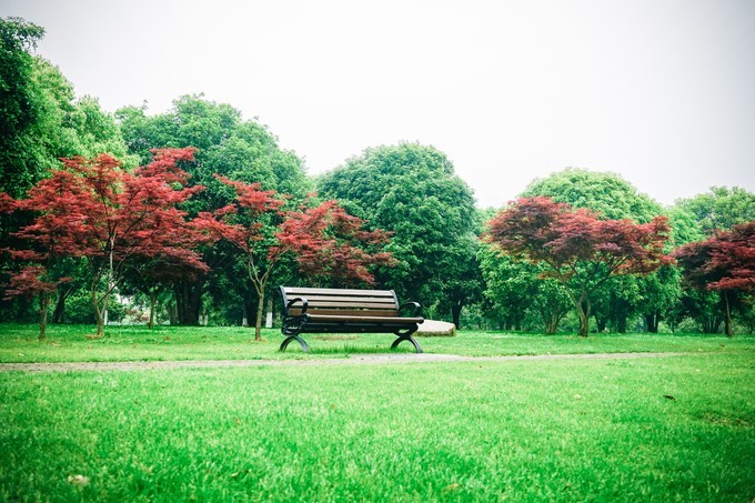 长沙三天两夜吃喝玩乐,长沙三天两晚自由行攻略酒店