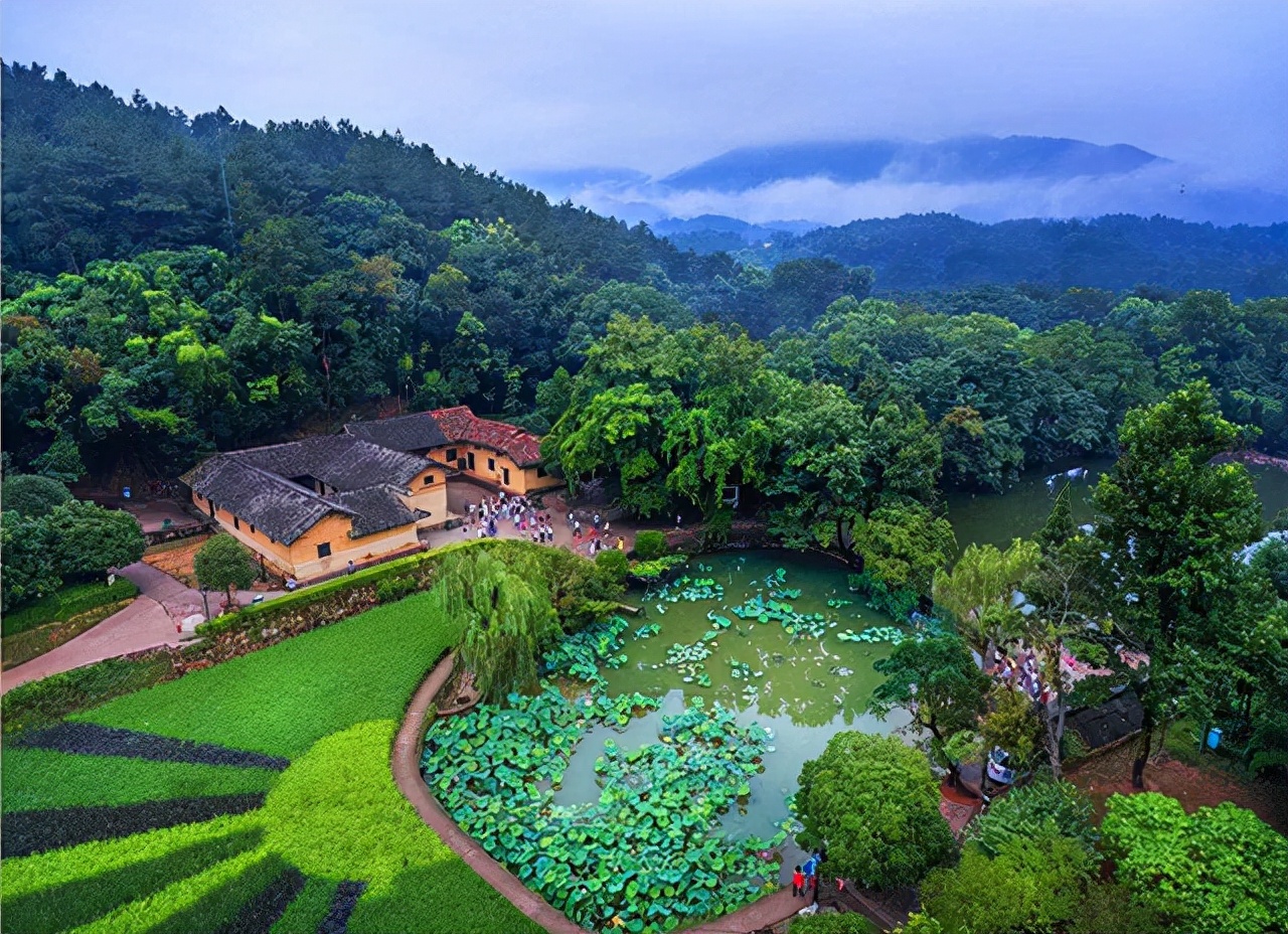 毛主席看到与母亲的合影，激动地用土话问道：咯是从哪里拱出来的