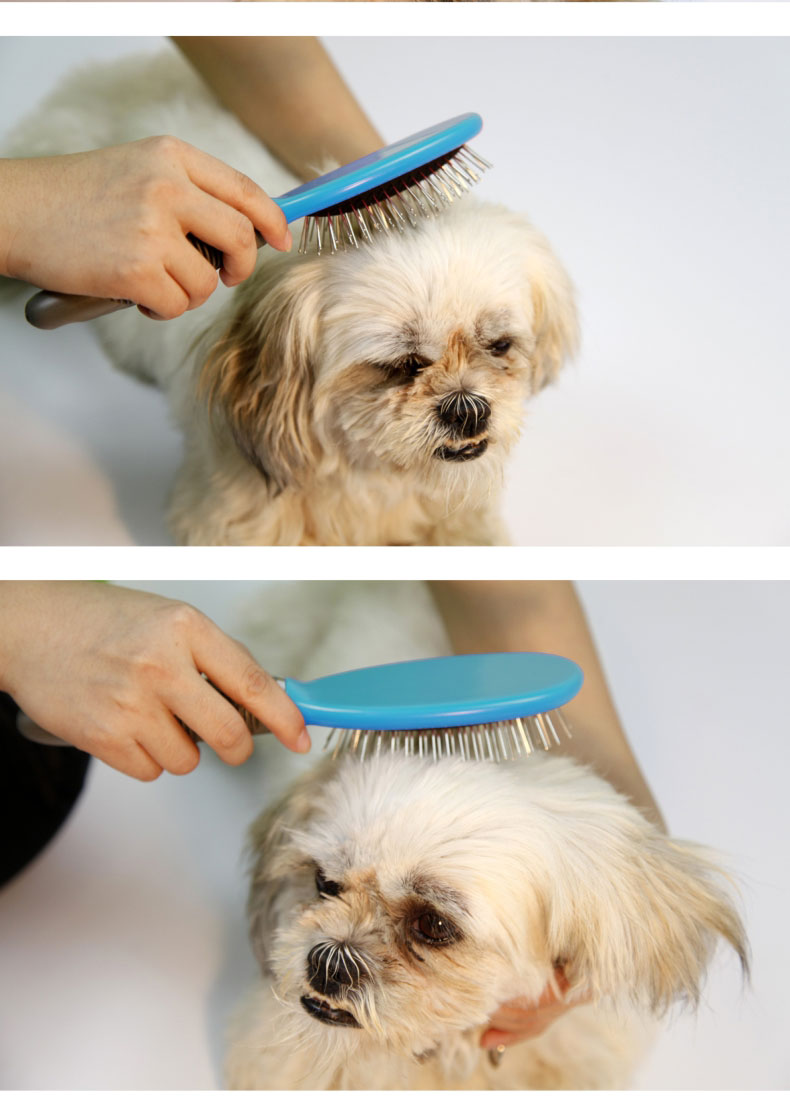 狗狗总放屁臭怎么解决,狗狗太臭了能几天洗澡一次