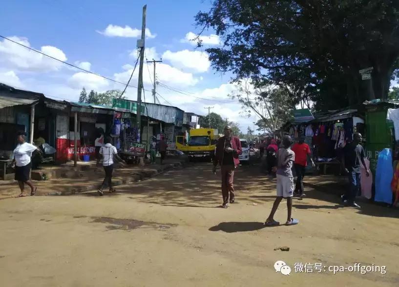 这个野奢的国度,欧美、日韩人都爱去,为何我们国家没人去?