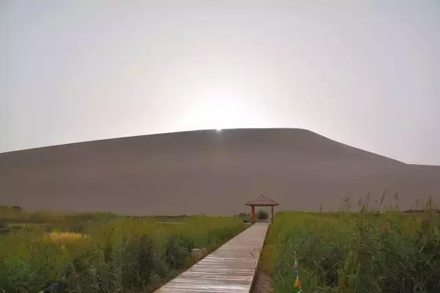 她的美是你无法企及的,她的美是不可方物的美