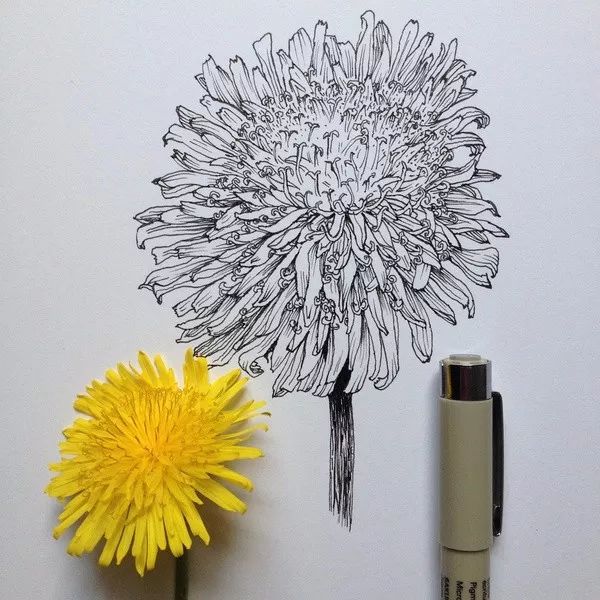 简单针管笔手绘花,简单易学针管笔手绘